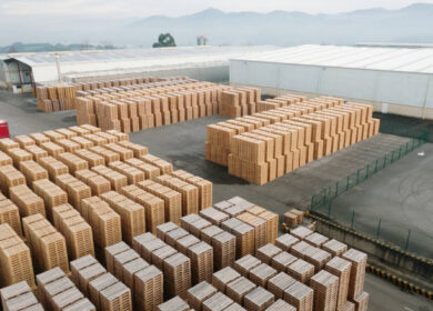 Custom Pallets and Skids Manufacturer Near Me Holyoke MA